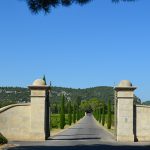 olivenöl-chateau-estoublon-alpilles