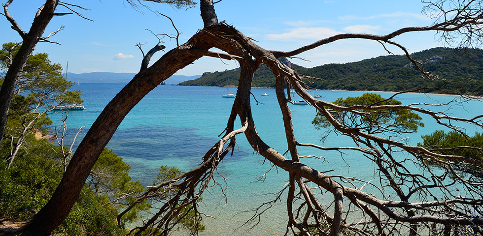 Île de Porquerolles (Provence)