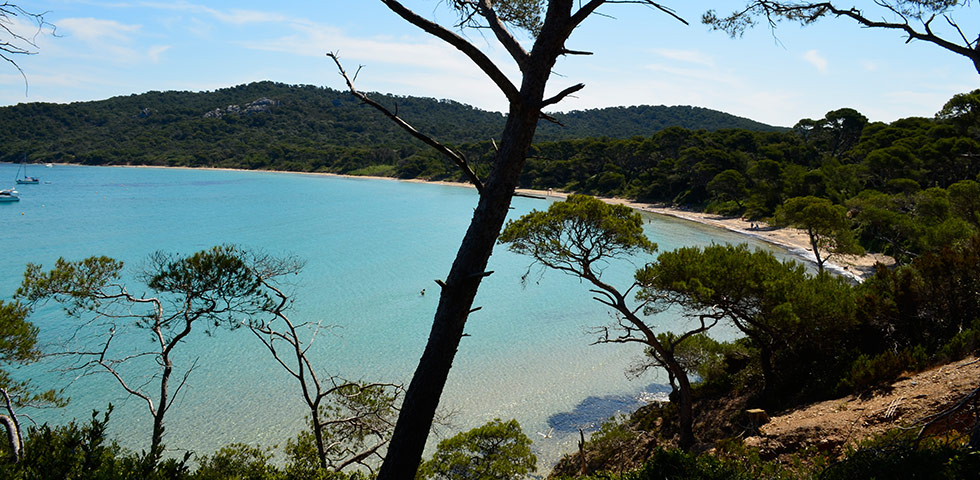 Plage Notre Dame - Île de Porquerolles