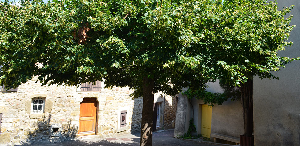 Kleiner Platz in Loumarin
