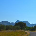 Alpilles Nationalpark Provence Olivenöl
