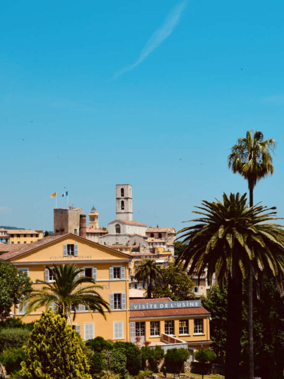 Grasse – Die duftende Hauptstadt des Parfums im Herzen der Côte d’Azur